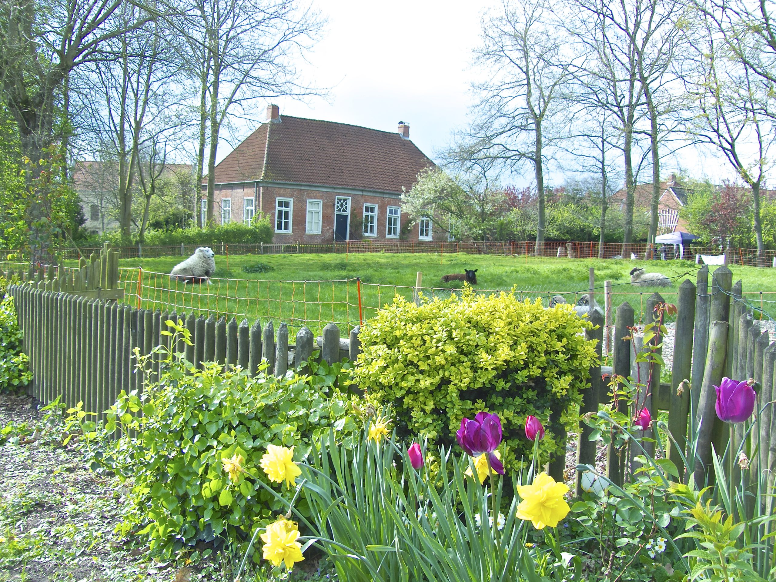 Förderprojekt Dorfentwicklungsplanung